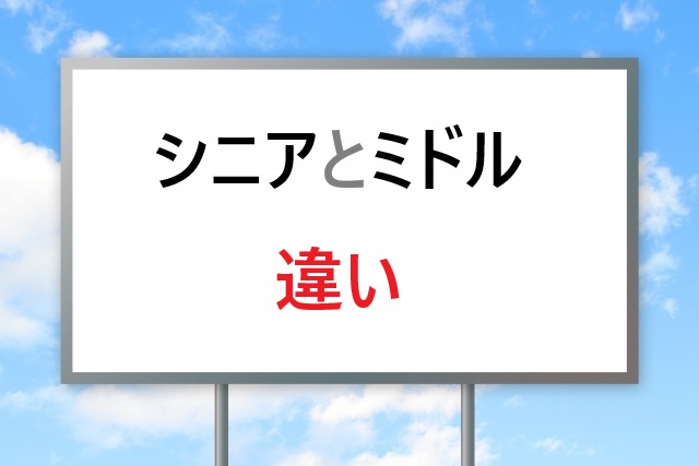 シニアとミドルの違いを完全解説！年収・責任・昇進条件まで
