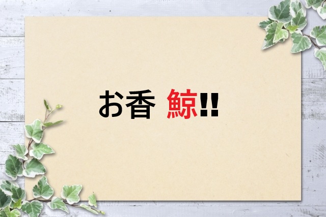 お香と鯨の深い関係｜龍涎香の歴史と現代事情